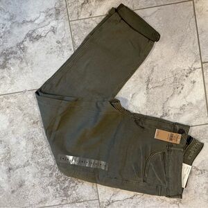 American Eagle Outfitters Sage Green Pants